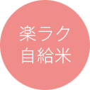 楽ラク自給米